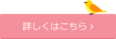 成人式の撮影メニューはこちらから！